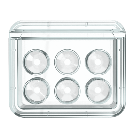 Oosafe® 6 Well Dish OOPW-SW02