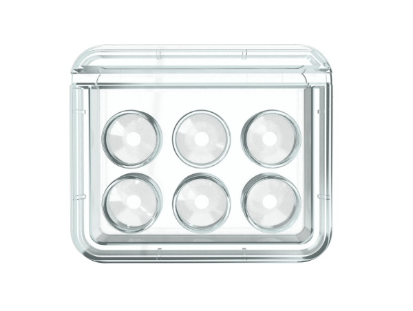 Oosafe® 6 Well Dish OOPW-SW02