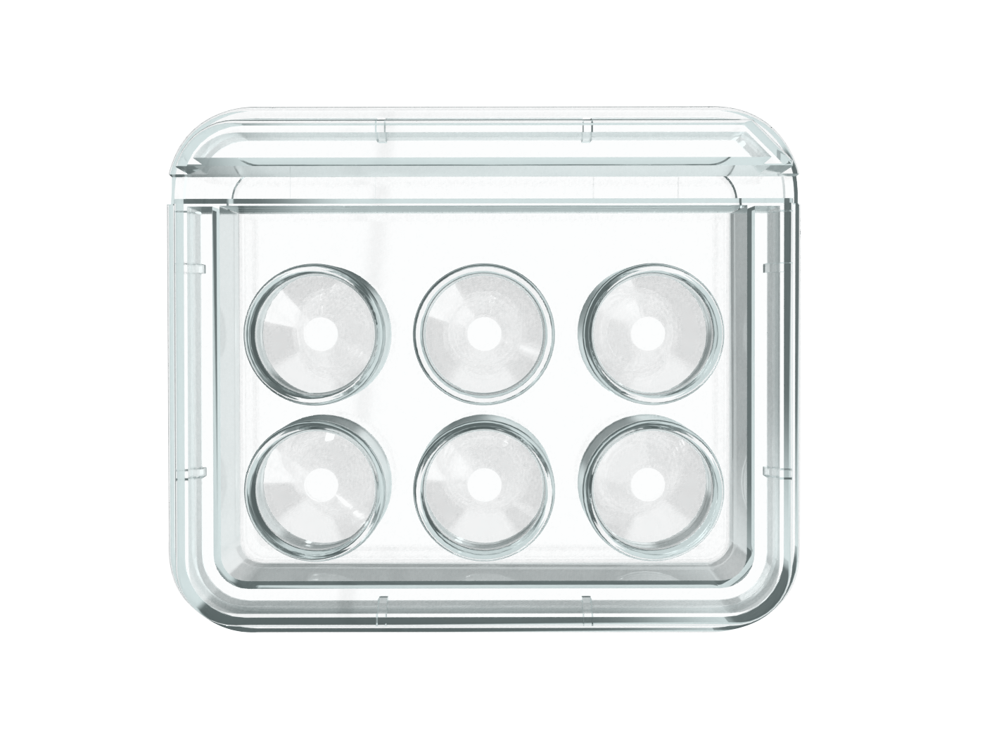 Oosafe® 6 Well Dish OOPW-SW02